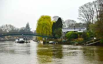 EEL PIE ISLAND MUSIC STORY