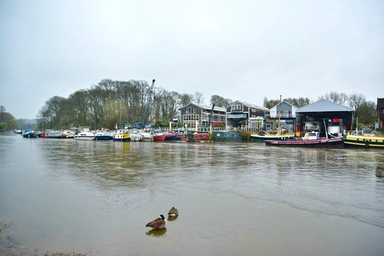 EEL PIE ISLAND MUSIC STORY